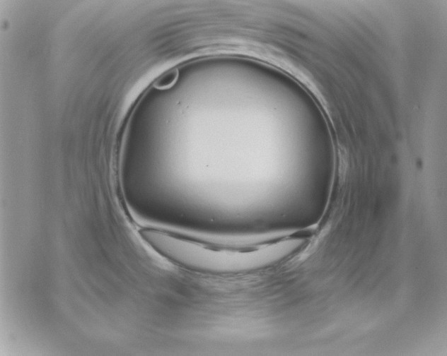 X0000075401533200609291628