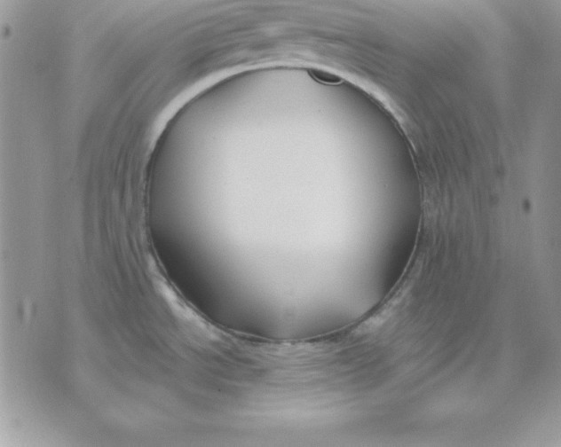 X0000075401534200609291628