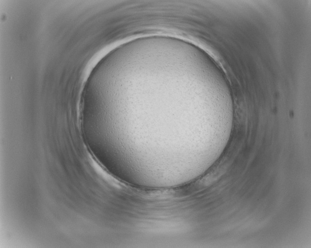 X0000075401535200609291628