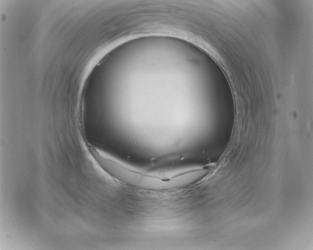 X0000075401536200609291628