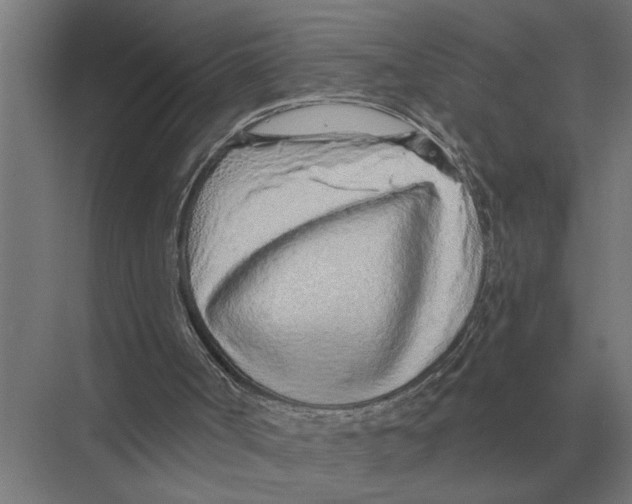 X0000075400002200610061943
