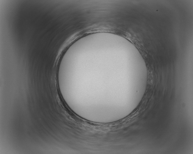 X0000075400004200610061943