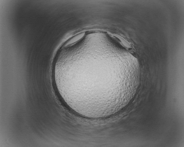 X0000075400006200610061943