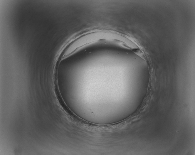 X0000075400007200610061943