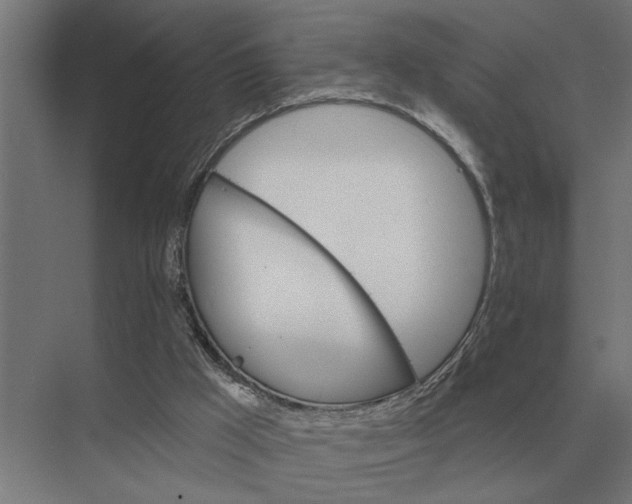 X0000075400009200610061943