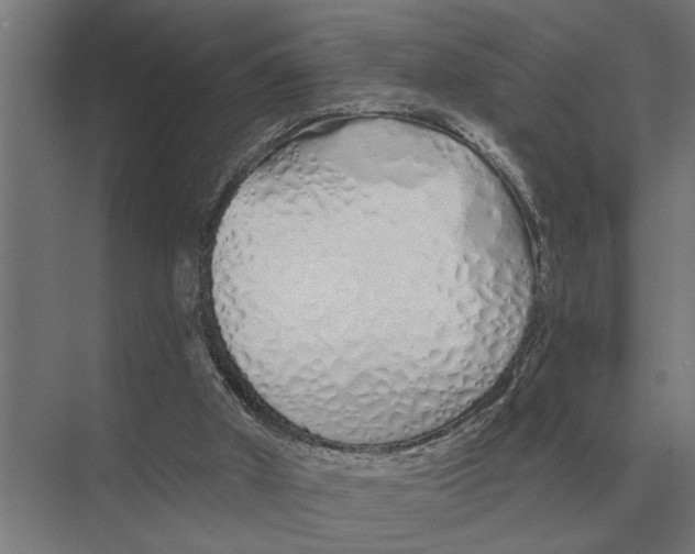 X0000075400010200610061943