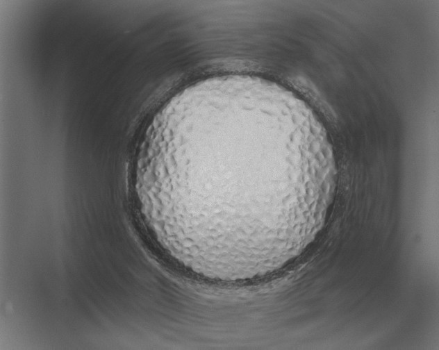 X0000075400014200610061943