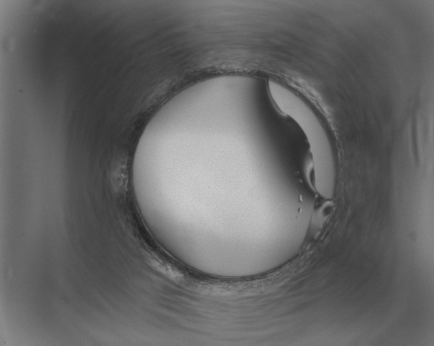 X0000075400017200610061942