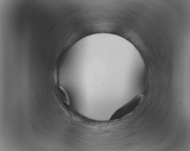 X0000075400021200610061942