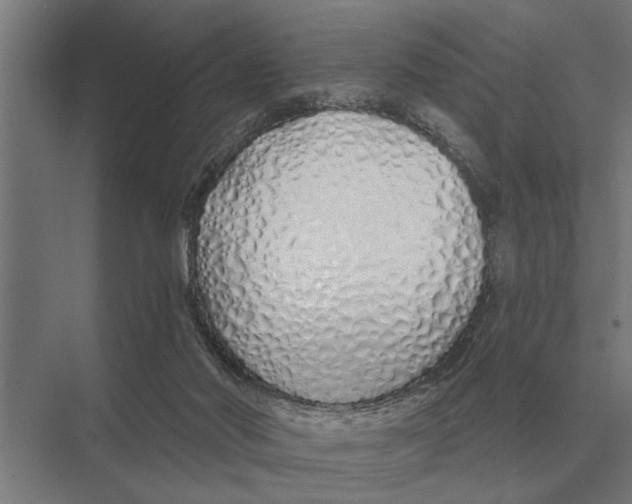 X0000075400022200610061942