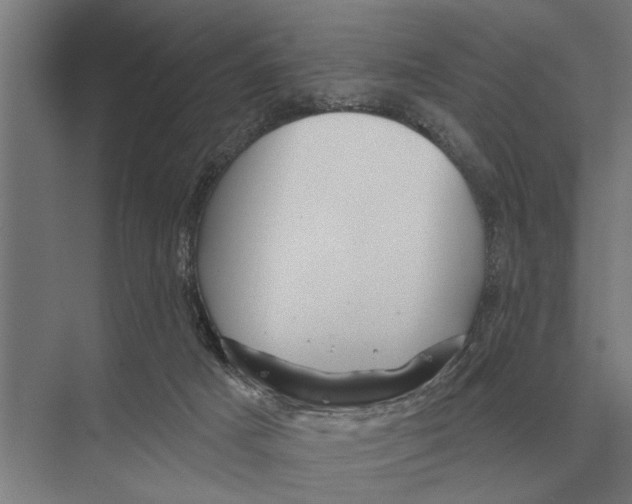 X0000075400025200610061942