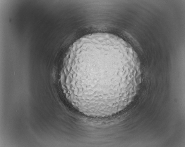 X0000075400026200610061942
