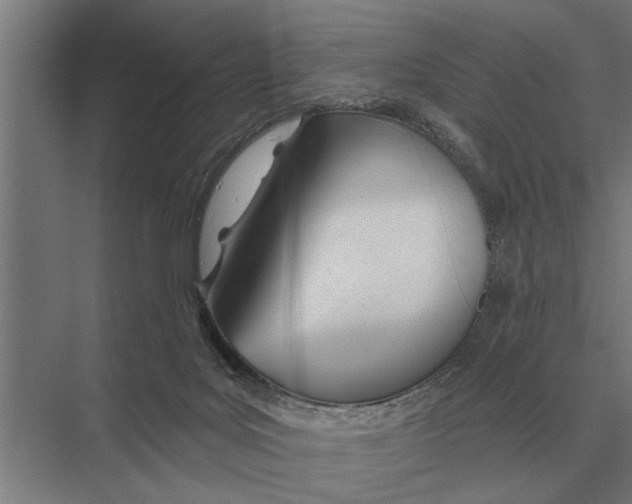 X0000075400027200610061942