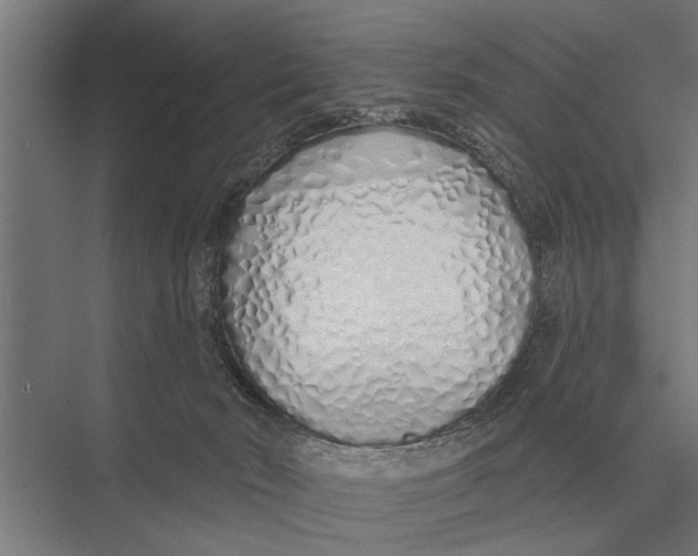 X0000075400030200610061942