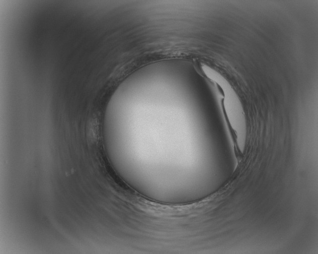 X0000075400035200610061942