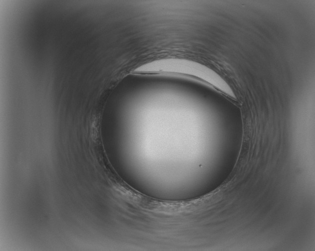 X0000075400037200610061942