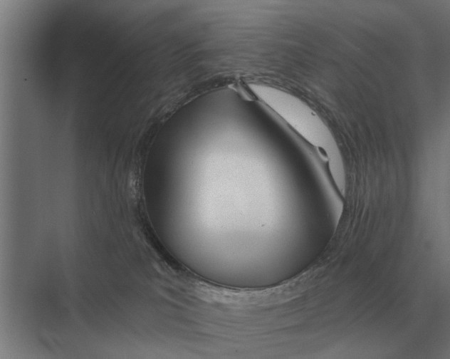 X0000075400039200610061942