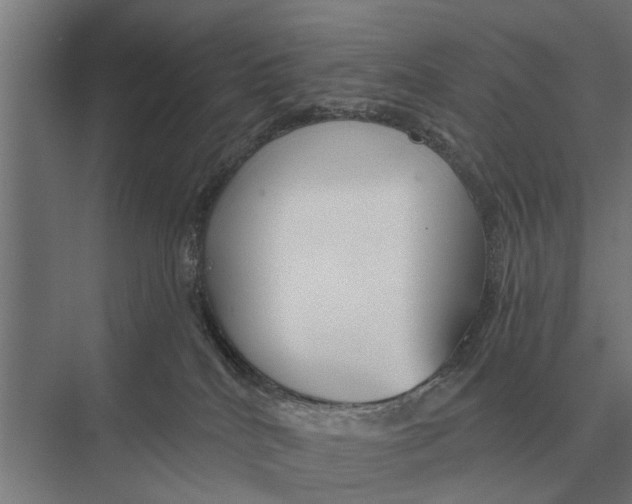 X0000075400040200610061942