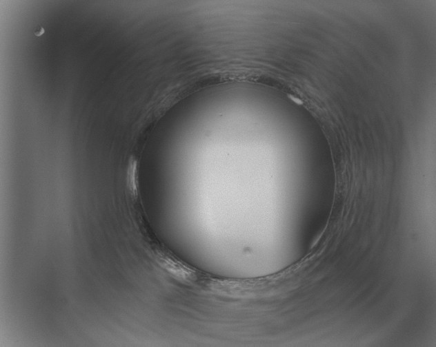 X0000075400041200610061942