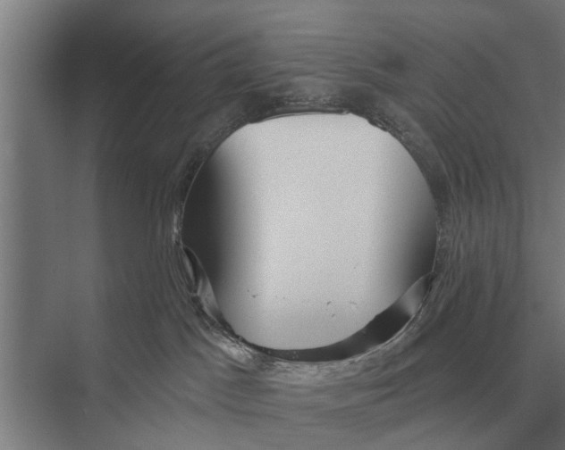 X0000075400045200610061942
