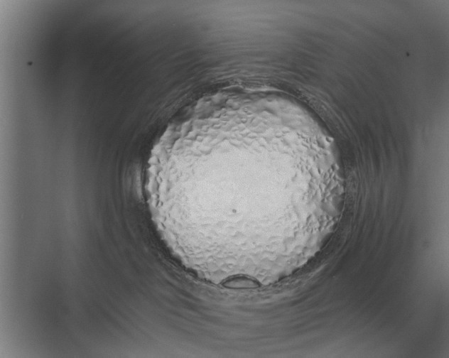 X0000075400046200610061942