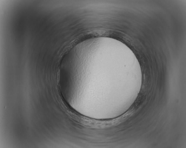 X0000075400048200610061942