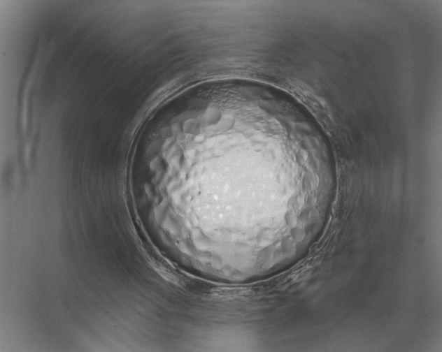 X0000075400051200610061941