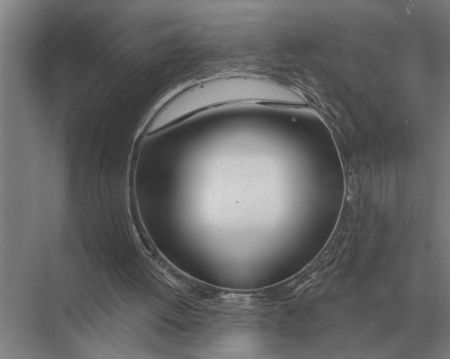 X0000075400052200610061941