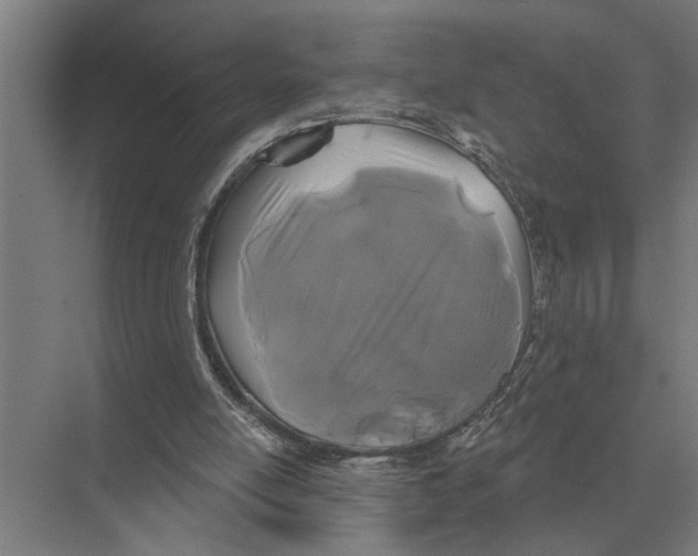 X0000075400054200610061941