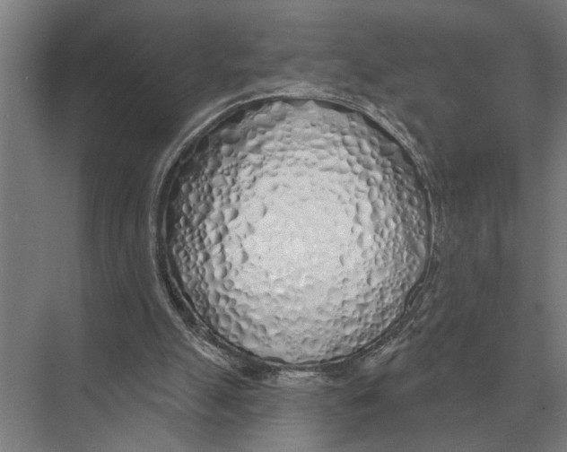X0000075400055200610061941