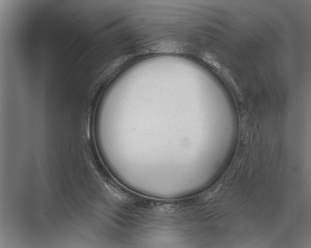 X0000075400062200610061941