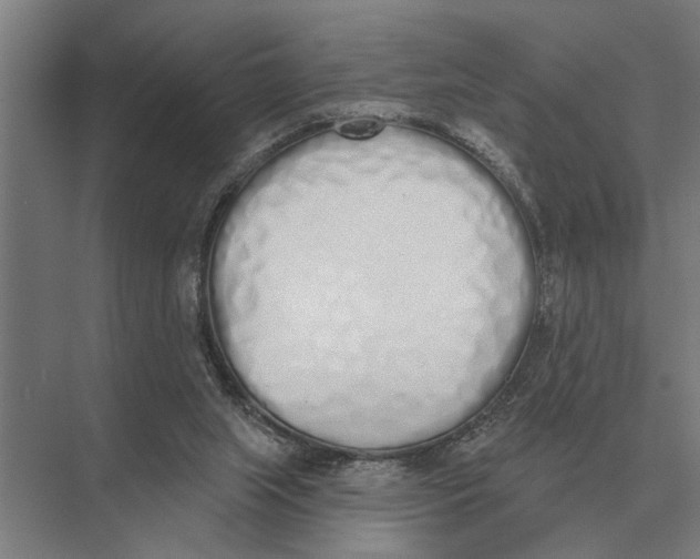 X0000075400063200610061941