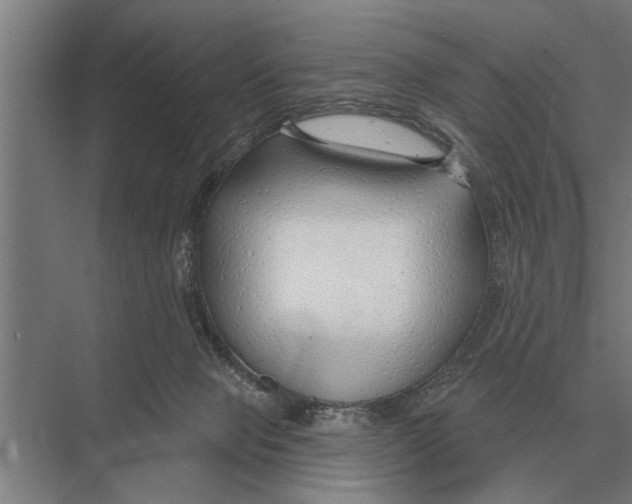 X0000075400077200610061942