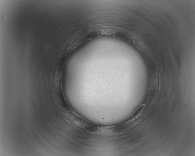 X0000075400078200610061942