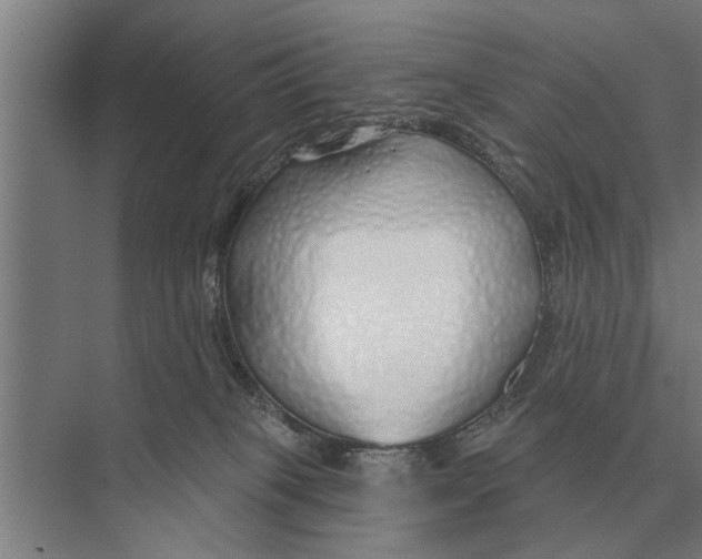 X0000075400085200610061942