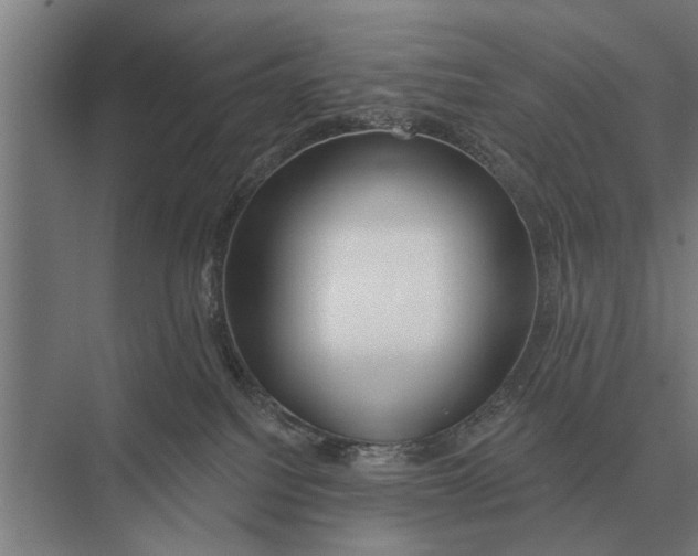 X0000075400088200610061942