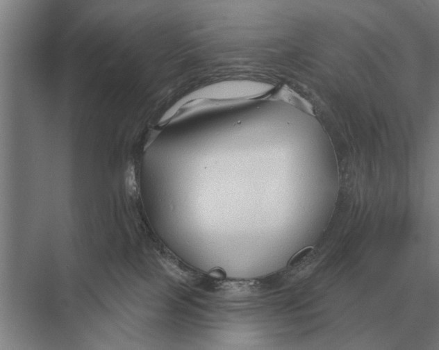 X0000075400089200610061942