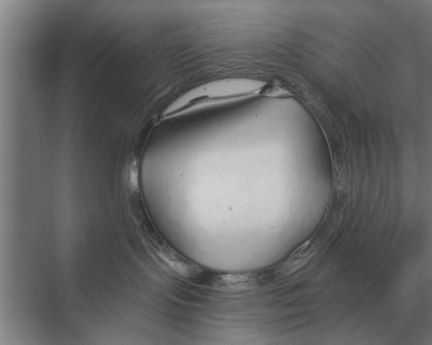 X0000075400095200610061942