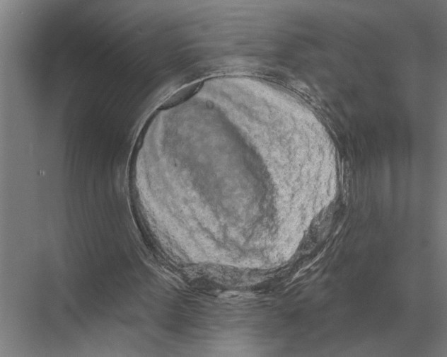 X0000075400099200610061941