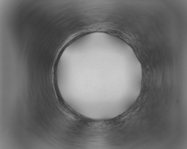 X0000075400100200610061941