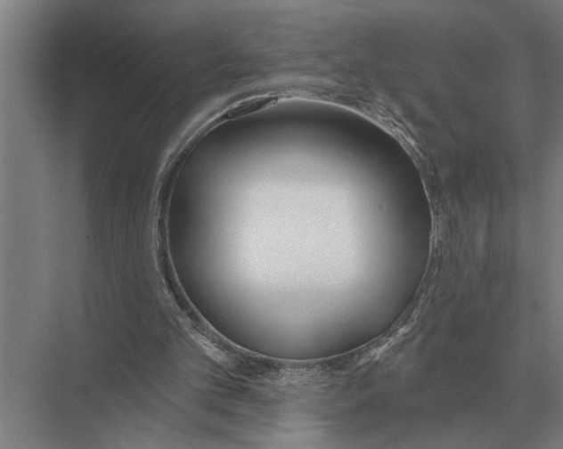 X0000075400101200610061941