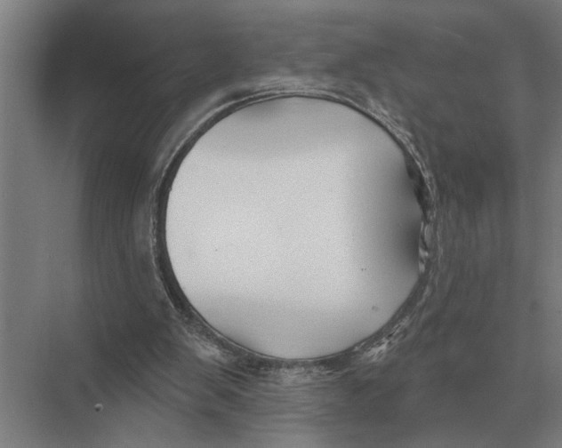 X0000075400103200610061941