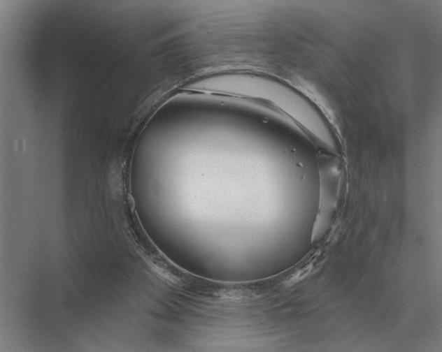 X0000075400105200610061941