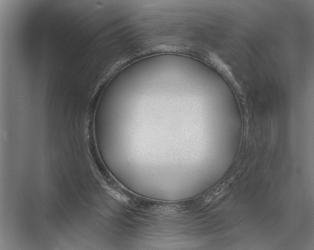 X0000075400106200610061941