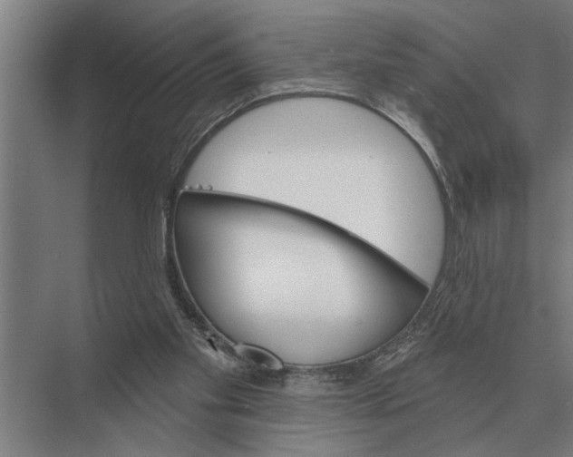 X0000075400109200610061941