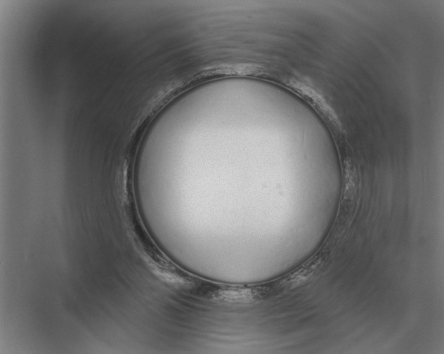 X0000075400110200610061941
