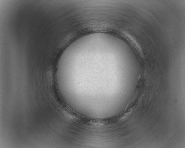 X0000075400113200610061941