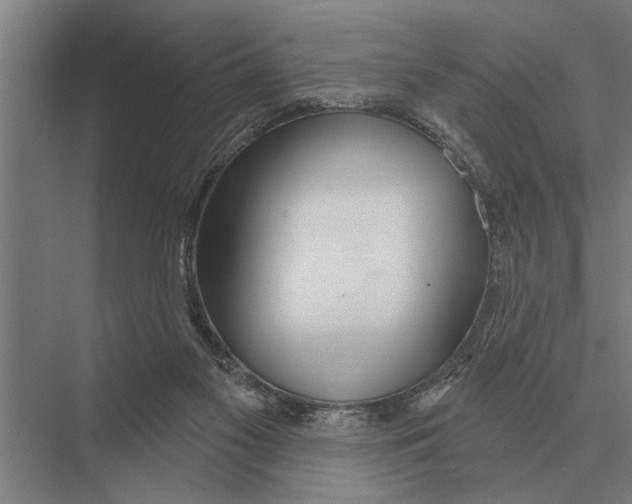 X0000075400117200610061941