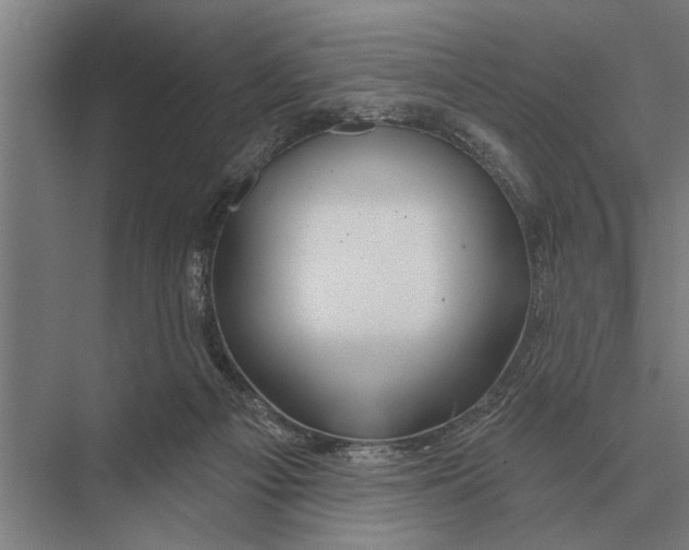 X0000075400121200610061941