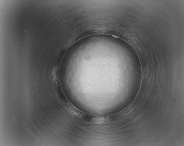 X0000075400131200610061941